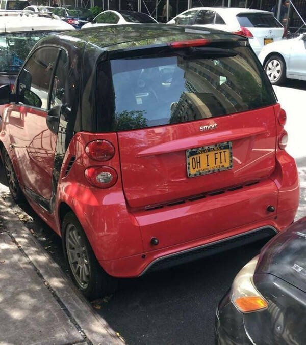 Funny Car Numbers (15 pics)