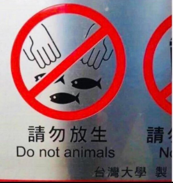 Failed Translation (18 pics)