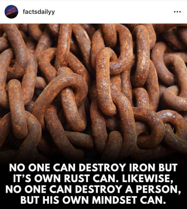 Deep Thoughts (20 pics)