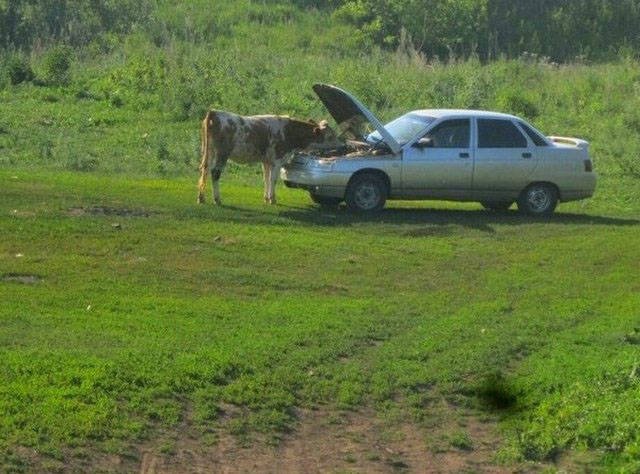 Strange Photos From Russia (40 pics)