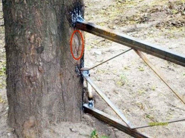Strange Photos From Russia (40 pics)