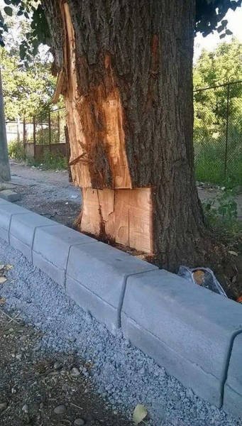 Strange Photos From Russia (40 pics)