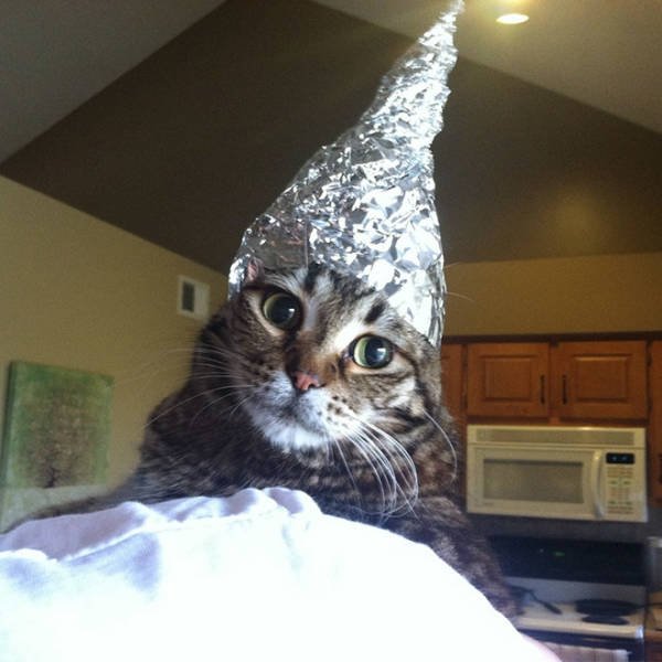 They Are Under Protection (21 pics)