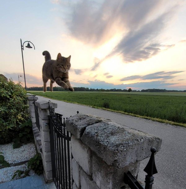 Look Twice (20 pics)