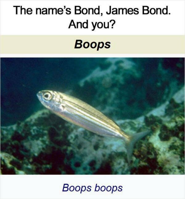 Funny Memes (26 pics)
