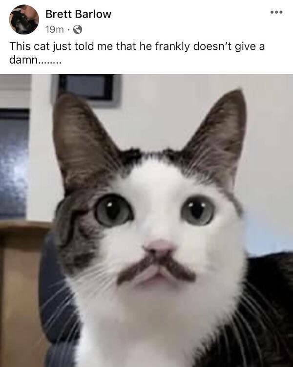 Funny Memes (26 pics)