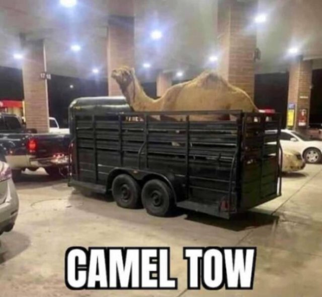 Funny Memes (26 pics)