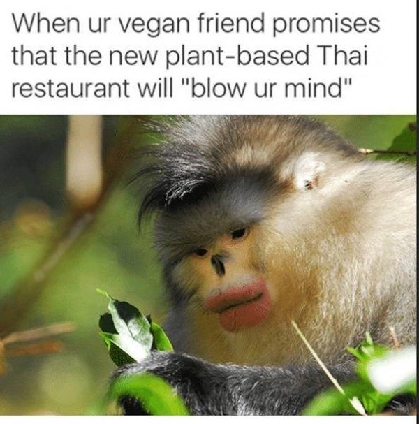 Vegan Memes (24 pics)
