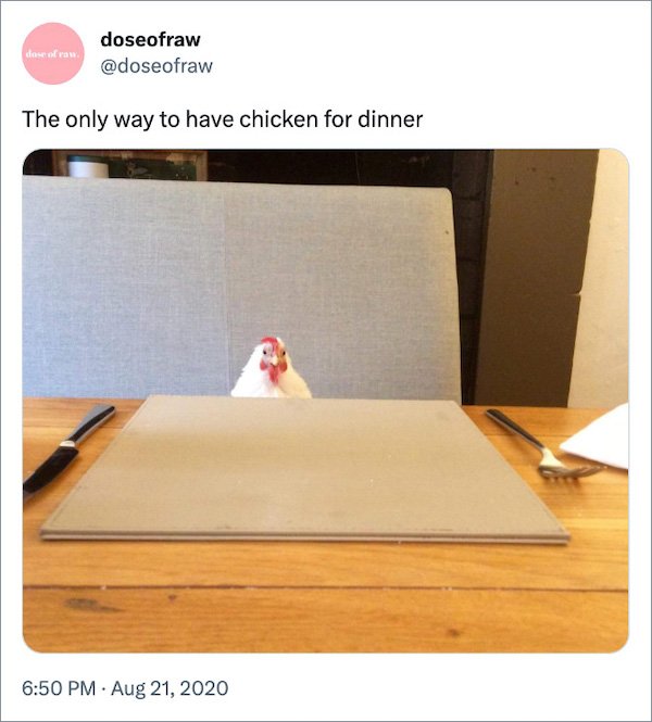 Vegan Memes (24 pics)