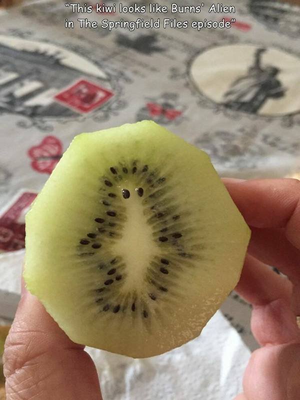 Unusual Photos And Optical Illusions (34 pics)