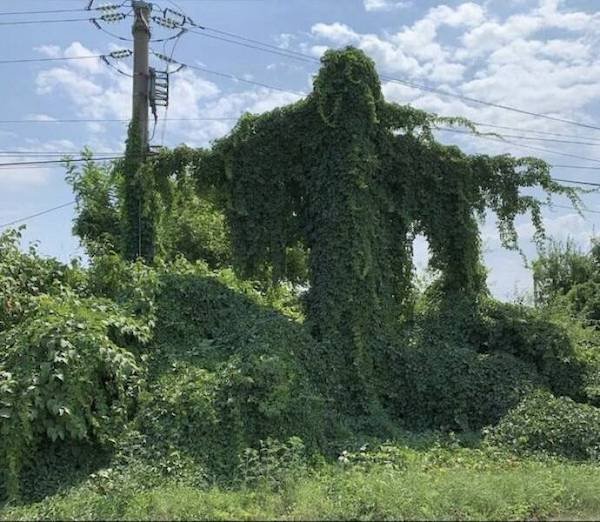 Unusual Photos And Optical Illusions (34 pics)