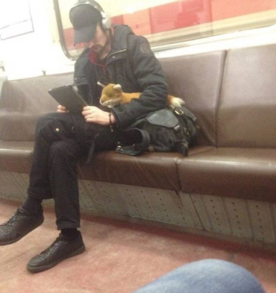 Odd People In The Subway (38 pics)