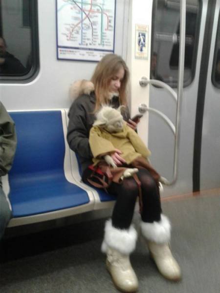 Odd People In The Subway (38 pics)