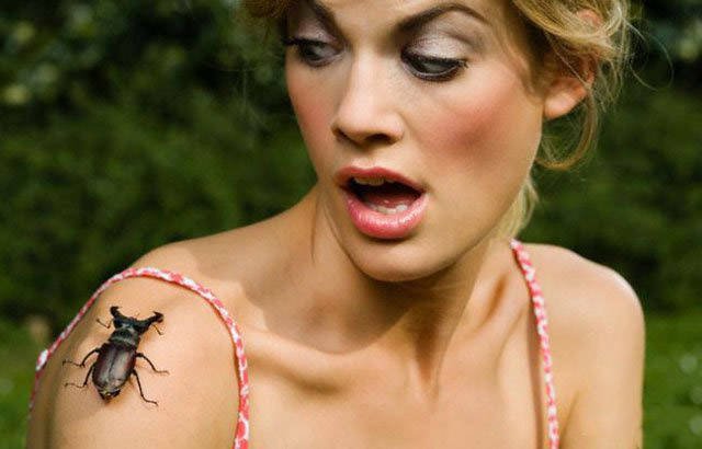 What Is Going On Here? (43 pics)