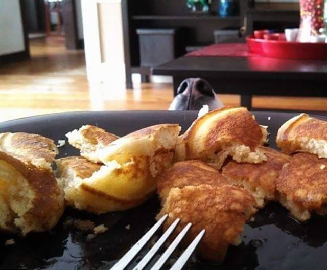 They Need Your Food (45 pics)