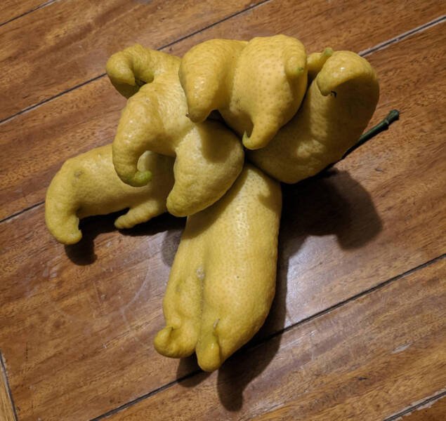 Interesting Finds From Around The World (24 pics) Interesting Finds From Around The World (24 pics)