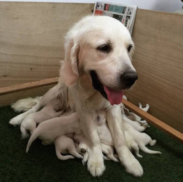 Interesting Finds From Around The World (24 pics) Interesting Finds From Around The World (24 pics)