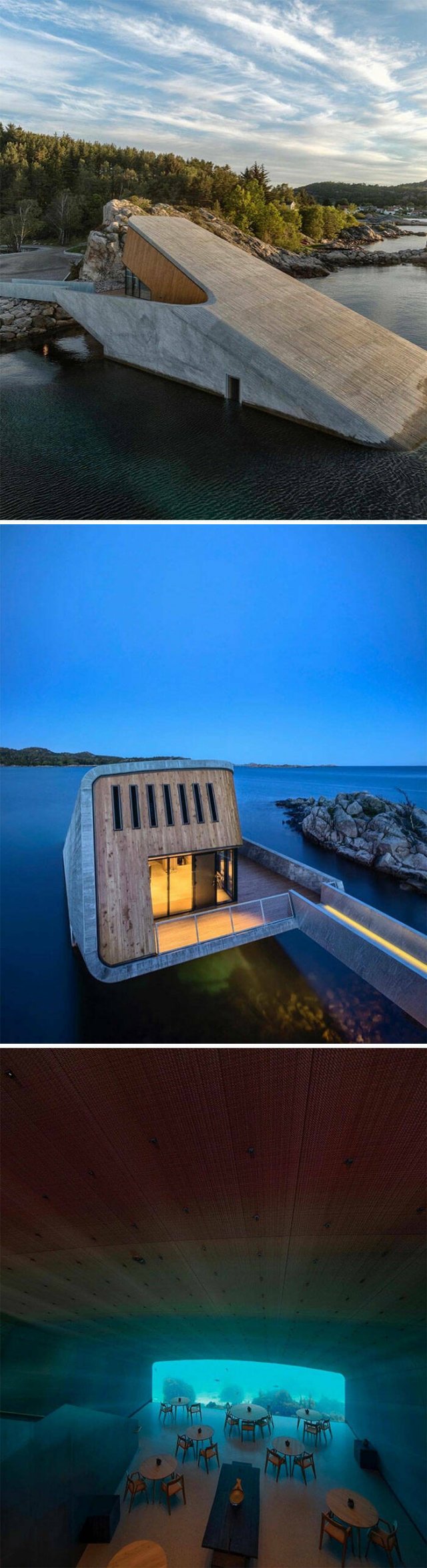 Amazing Houses And Interiors (15 pics)
