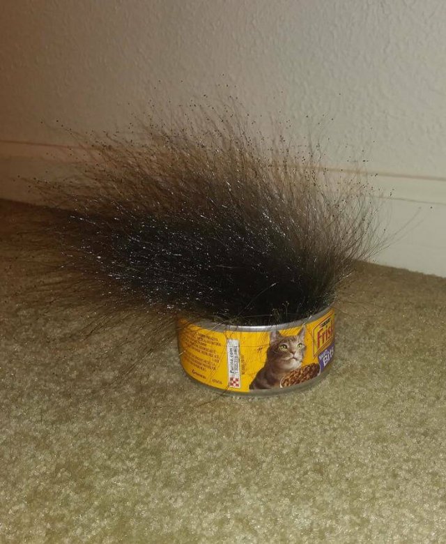 Interesting Finds From Around The World (24 pics)