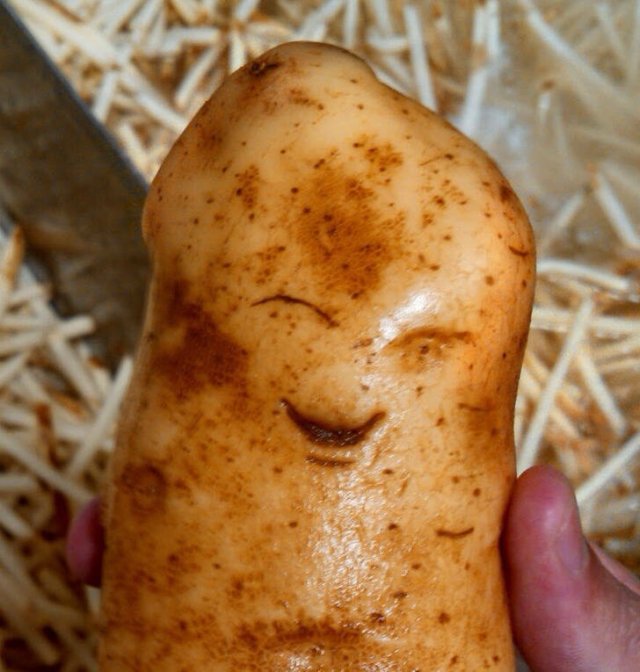 Interesting Finds From Around The World (24 pics) Interesting Finds From Around The World (24 pics)
