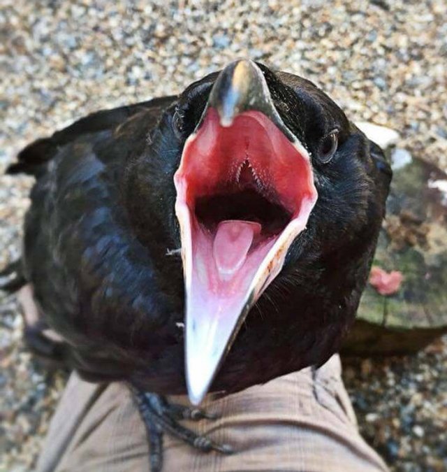 Interesting Finds From Around The World (24 pics)