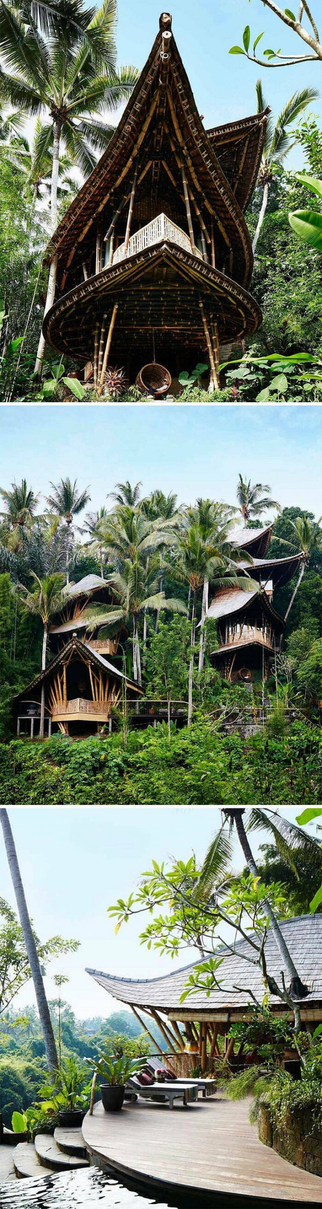 Amazing Houses And Interiors (15 pics)