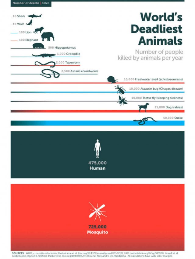 Interesting Data (25 pics)