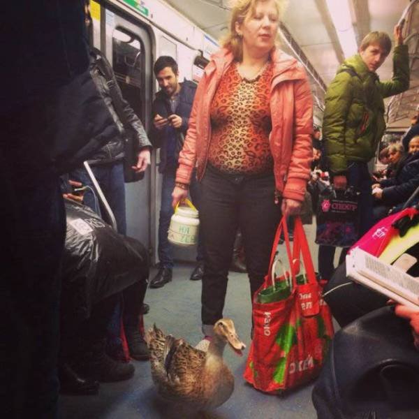 Strange Photos From Russia (39 pics)
