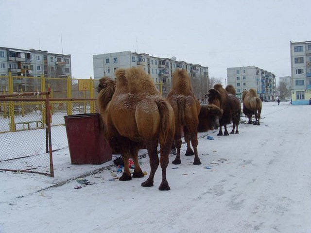 Strange Photos From Russia (39 pics)
