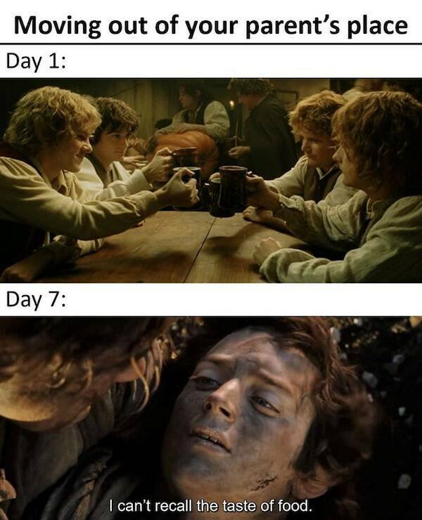 Lord Of The Rings Memes (18 pics)