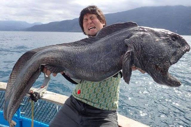 Strange Japanese (47 pics)