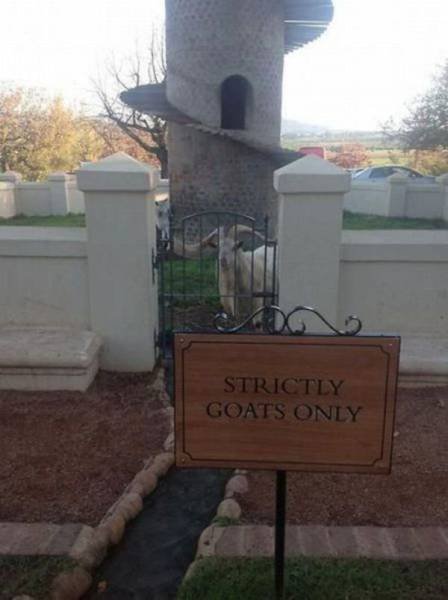 Weird Finds And Situations (40 pics)