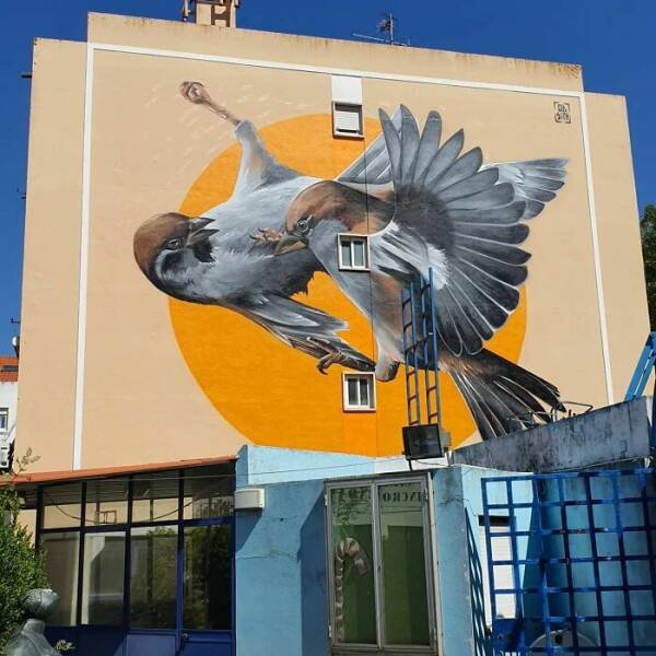 Cool Street Art (29 pics)