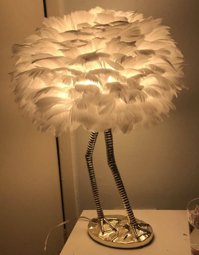 Weird Designs (19 pics)