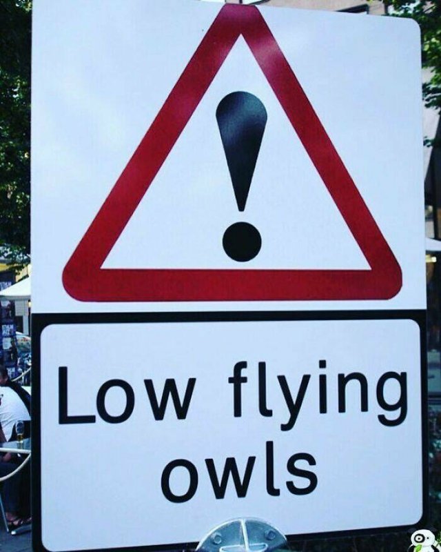 Strange And Funny Signs (25 pics)