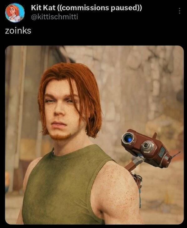 Memes For Gamers (29 pics)