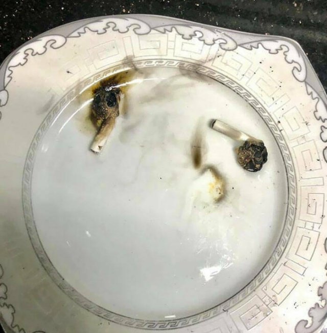 When Microwaves Go Wrong (25 pics)