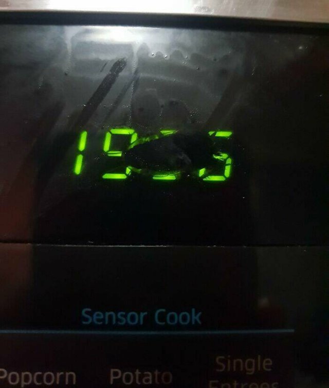When Microwaves Go Wrong (25 pics)