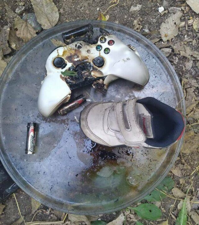 When Microwaves Go Wrong (25 pics)