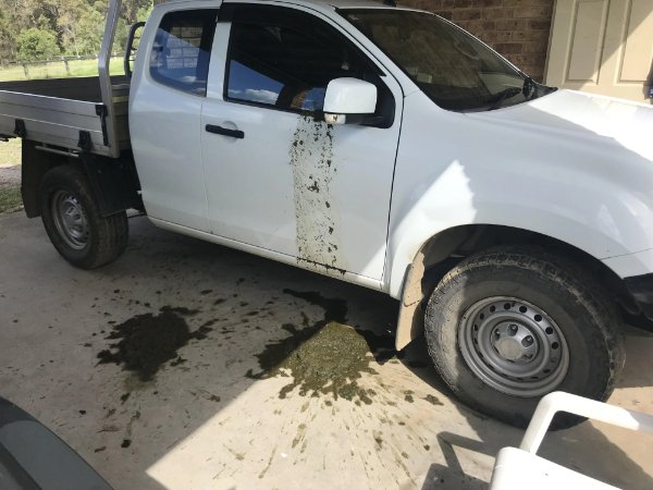 Bad Days Happen (17 pics)