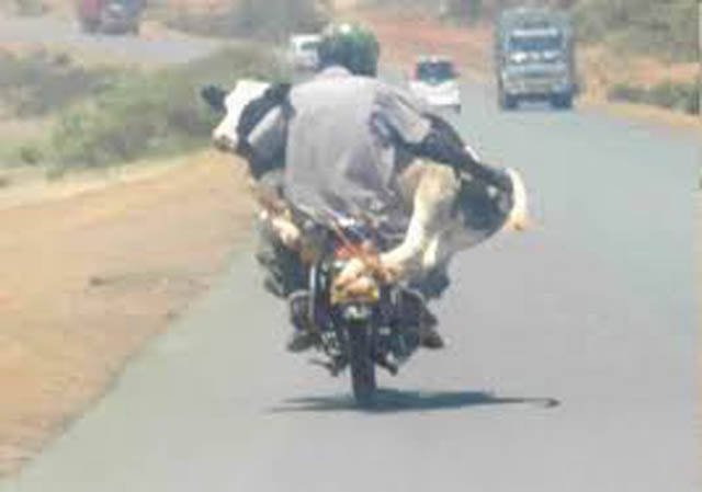 Odd Africans (39 pics)