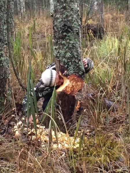 Strange Photos From Russia (37 pics)