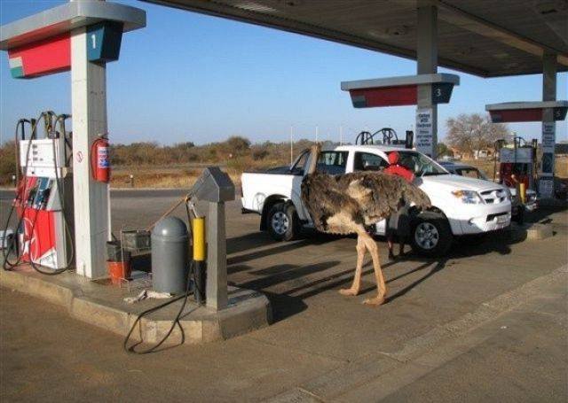Odd Africans (39 pics)