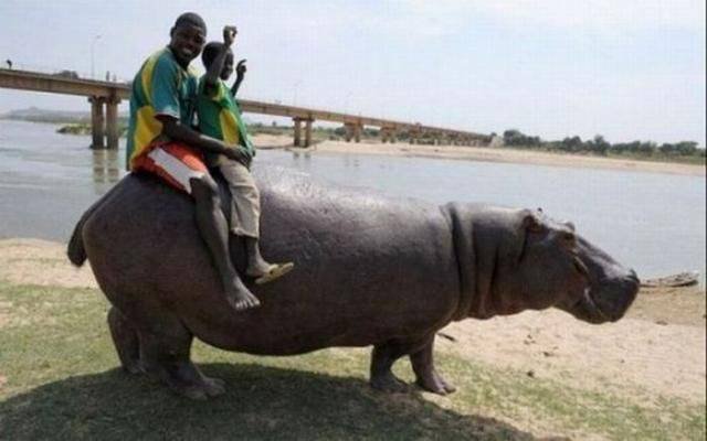 Odd Africans (39 pics)