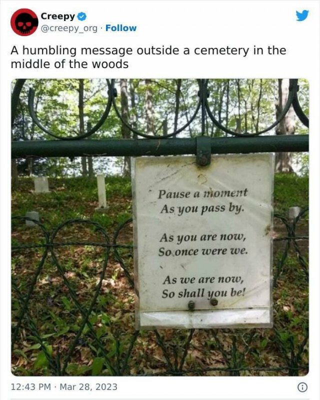 Creepy Photos And Finds (16 pics)