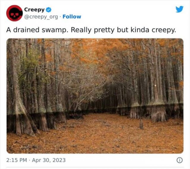 Creepy Photos And Finds (16 pics)