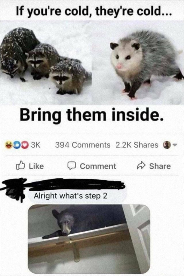 Animal Memes (25 pics)