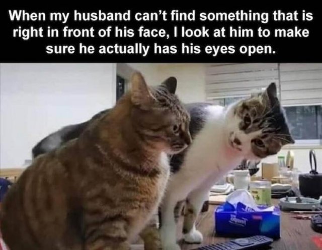 Funny Memes For Married Men (27 pics)