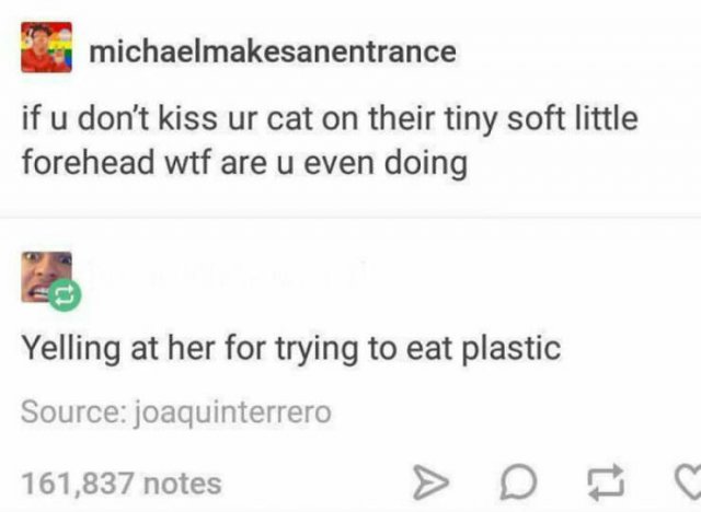 Animal Memes (25 pics)