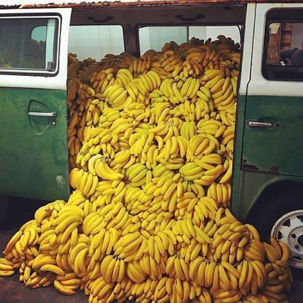 They Save On Shipping (58 pics)